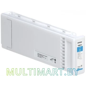 Картридж Epson C13T891200
